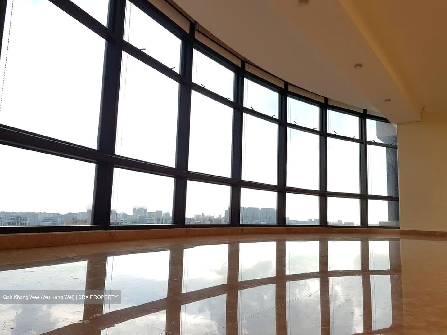 Four Seasons Park (D10), Condominium #537864141